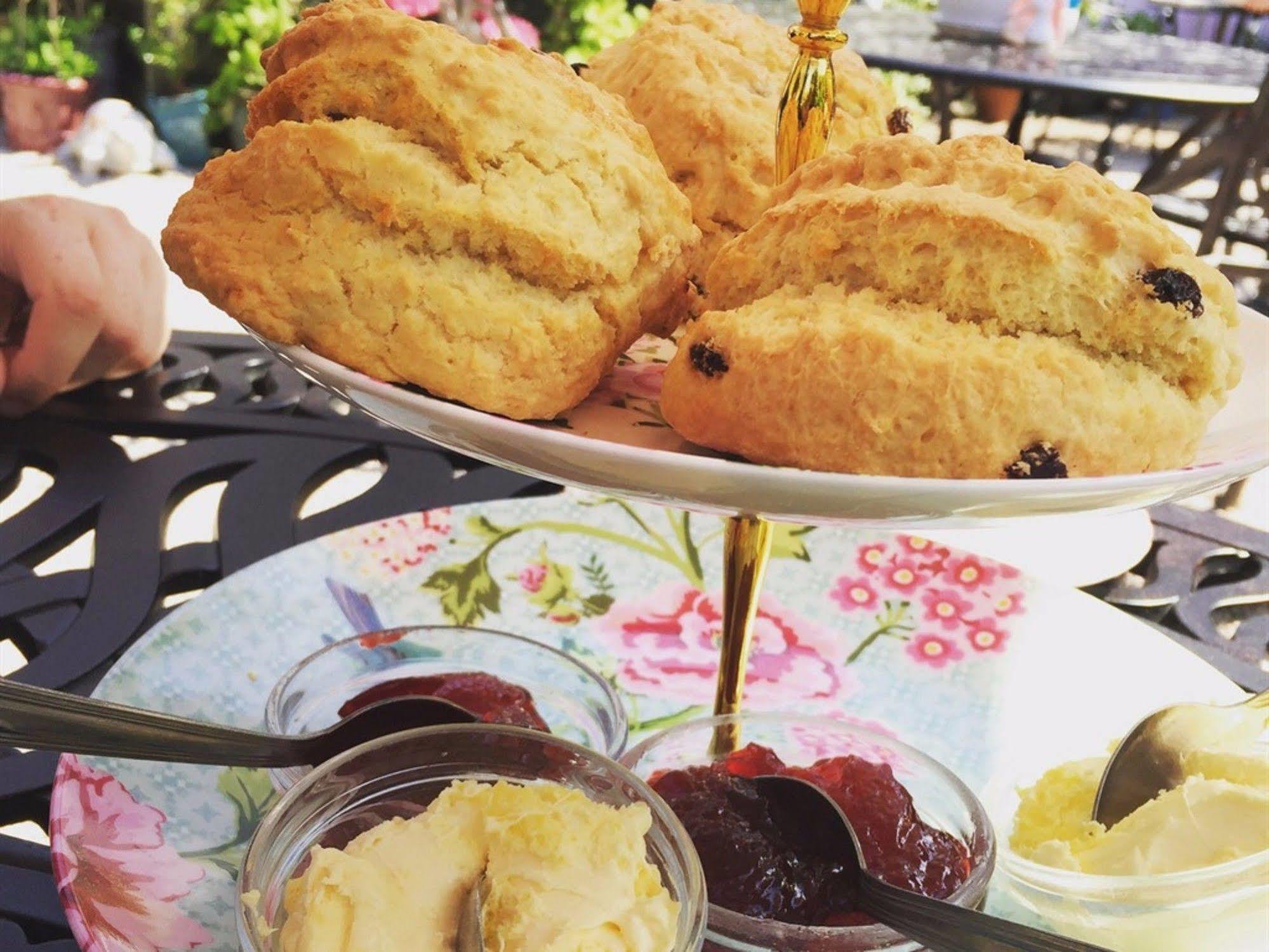 Glendower Bed and Breakfast Torquay Εξωτερικό φωτογραφία